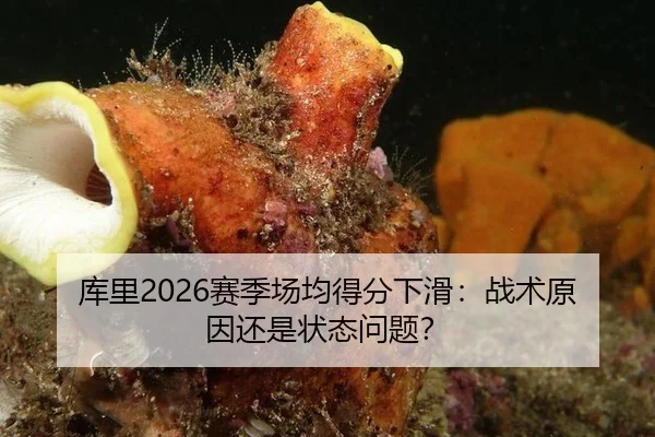 库里2026赛季场均得分下滑：战术原因还是状态问题？